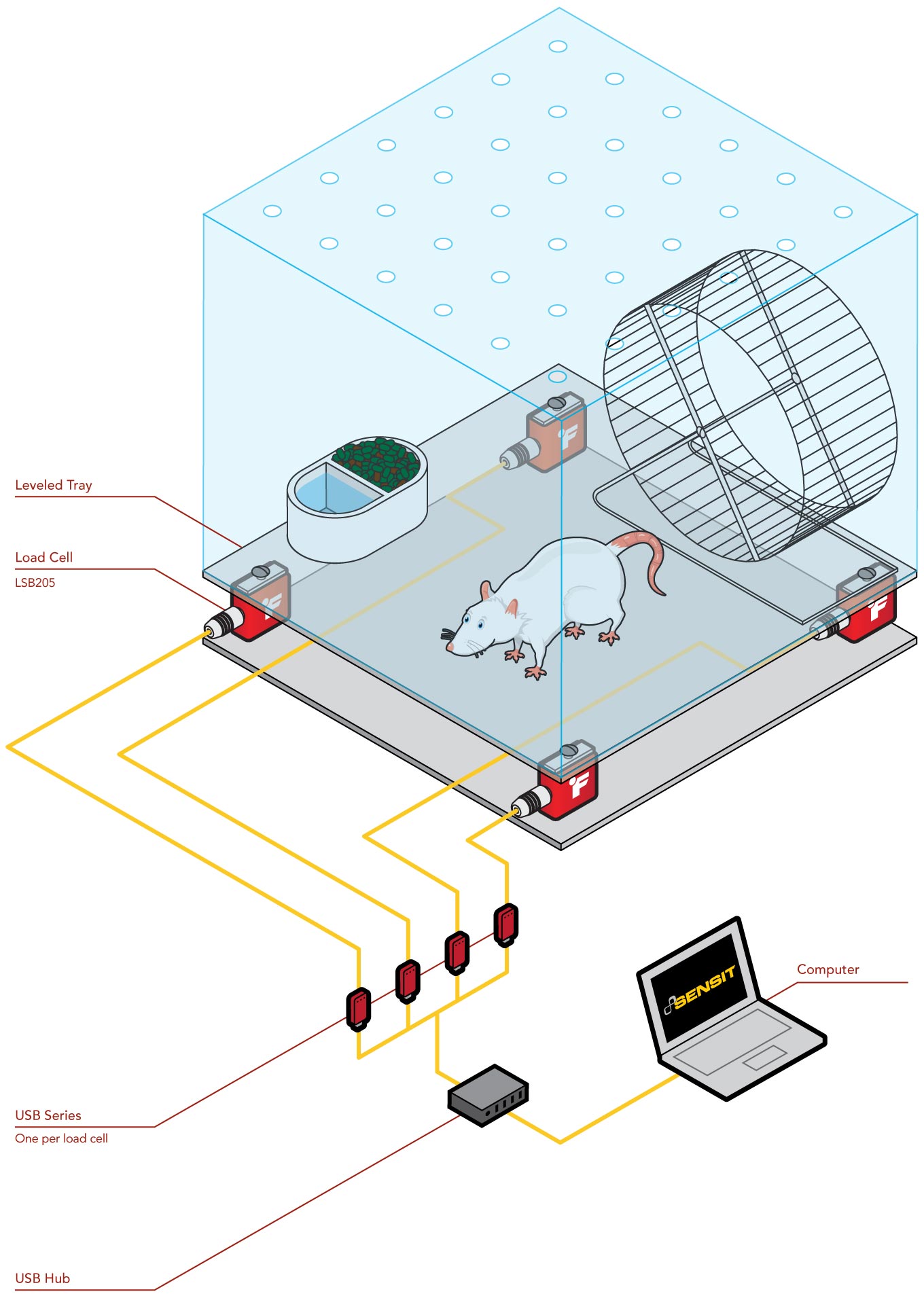 behavioral tests for mice behavioral tests in rats Mouse behavioral testing protocol