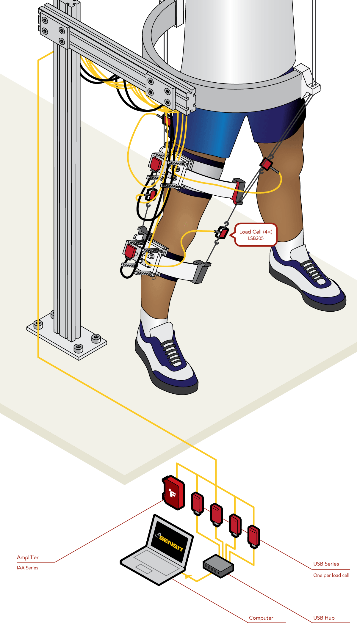 Robotic Leg Rehabilitation Device
