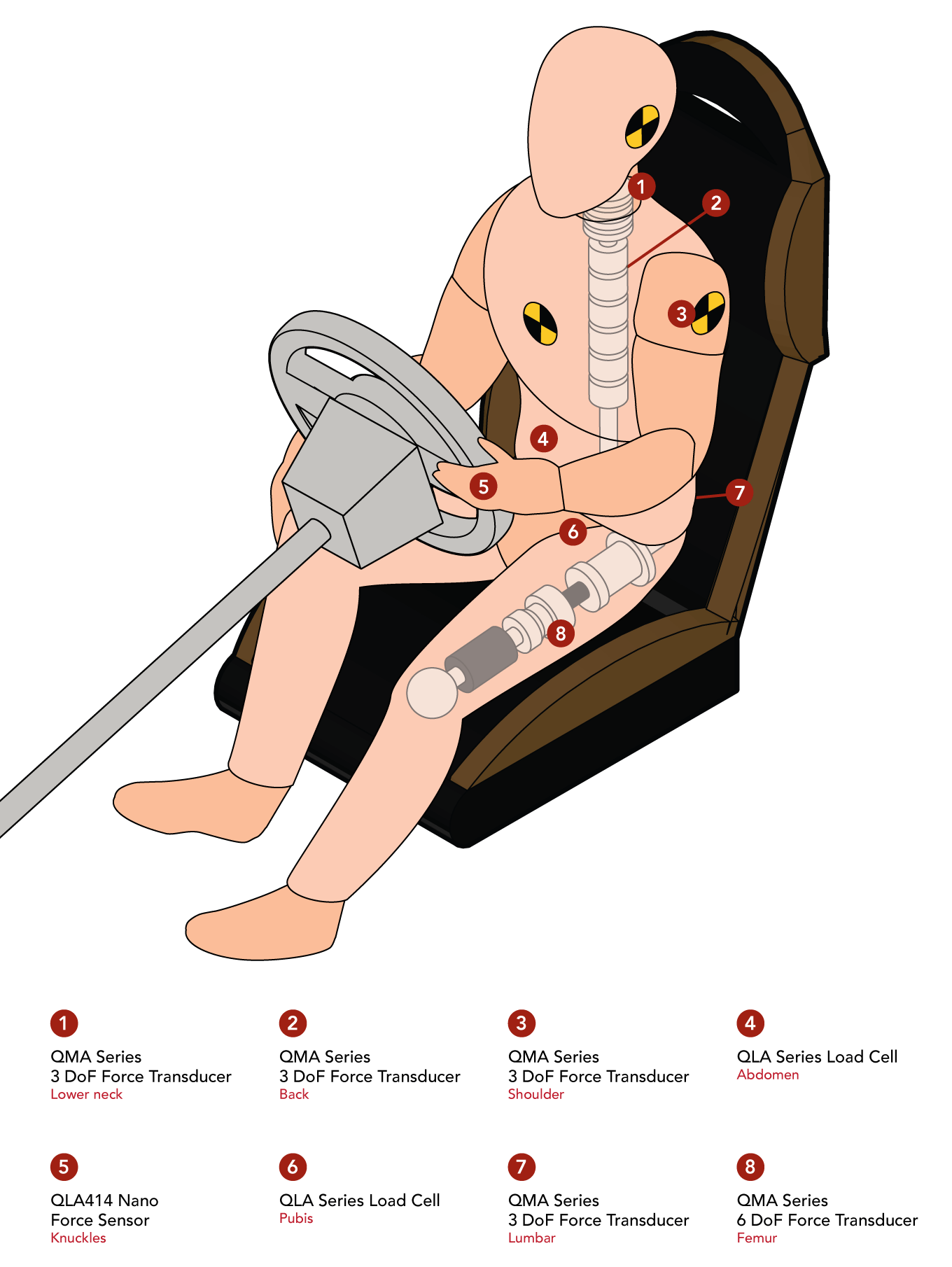 Crash Test Sensors dummy
