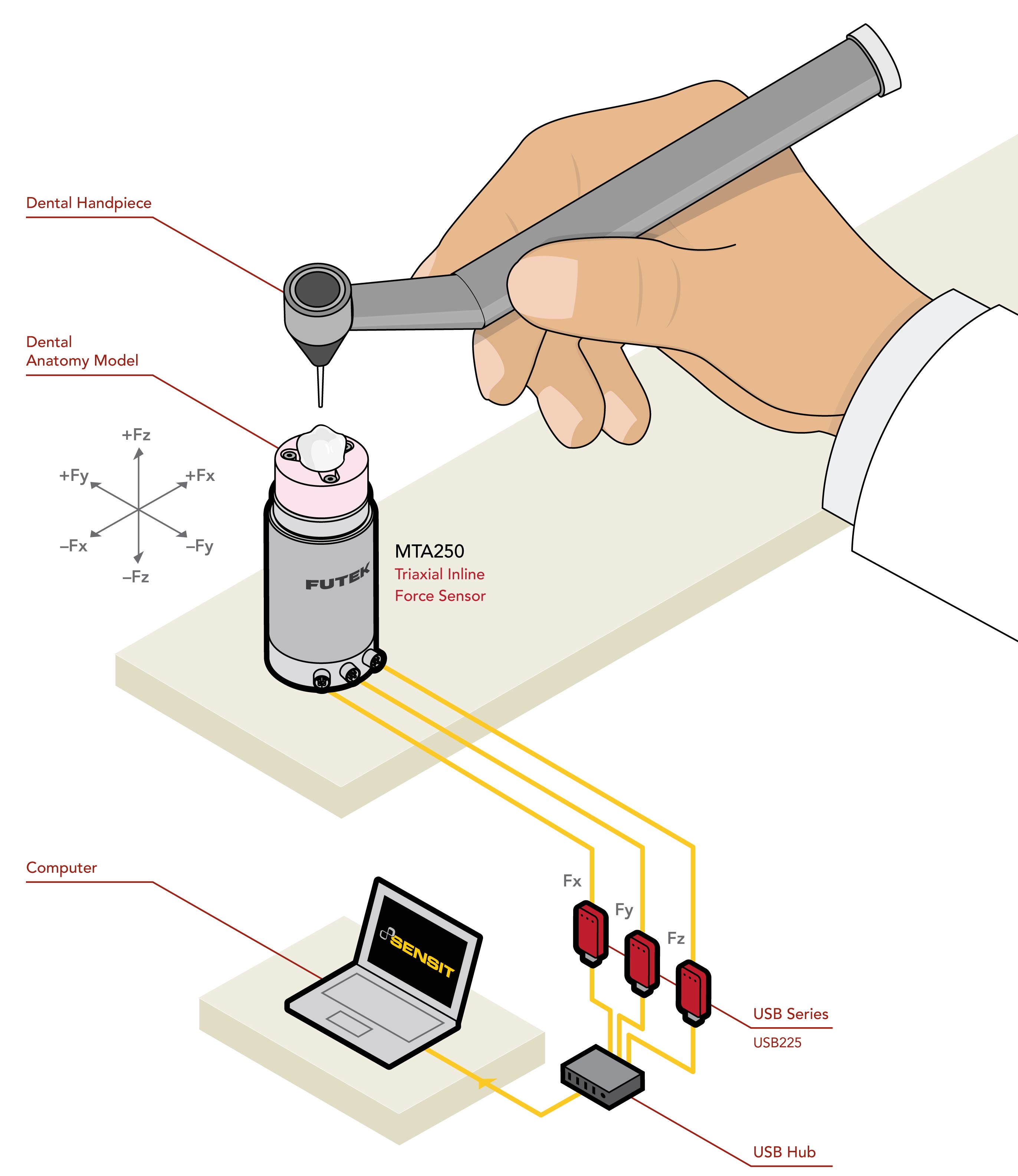 Haptic Simulation in Dentistry 3 axis sensor tri axial triaxial load cell