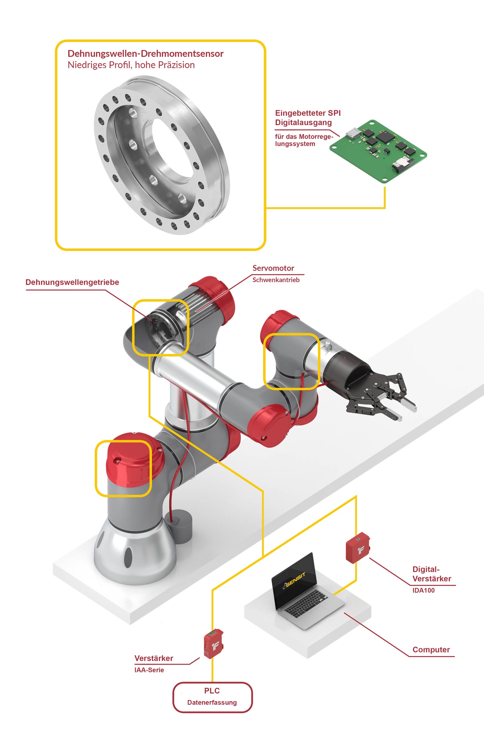 Dehnungswellengetriebe Drehmomentsensor